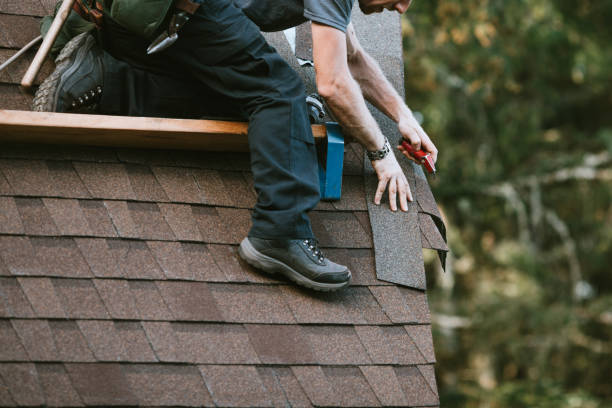 Roof Gutter Cleaning in Grinnell, IA